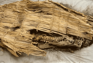 New Study Provides Details About The Oldest Mummy Ever Found And It Was Located In Nevada
