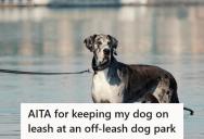 Dog Owner Keeps His Reactive Rescue Dog Leashed At An Off-Leash Park, But It Leads Other Owners To Ask Him To Leave