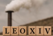 Papal Names Are Carefully Chosen And Have A Lot Of Meaning, But How And When Did This Tradition Start?