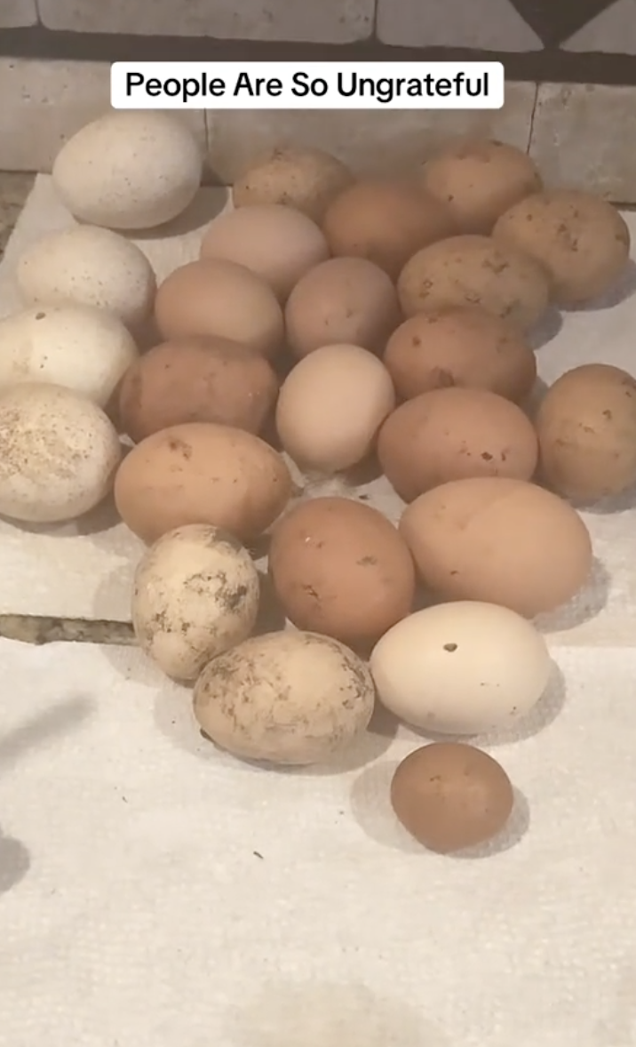 photo of organic eggs