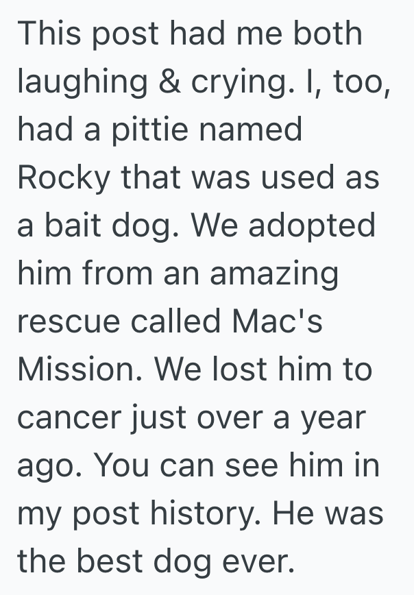 Screenshot 2025 05 03 at 3.31.10%E2%80%AFPM Woman Rescues A Dog, And He Gets Revenge On Her Horrible Boyfriend Over And Over Again Until They Finally Breakup