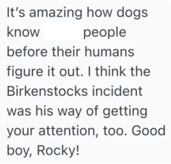 Screenshot 2025 05 03 at 3.59.52%E2%80%AFPM Woman Rescues A Dog, And He Gets Revenge On Her Horrible Boyfriend Over And Over Again Until They Finally Breakup