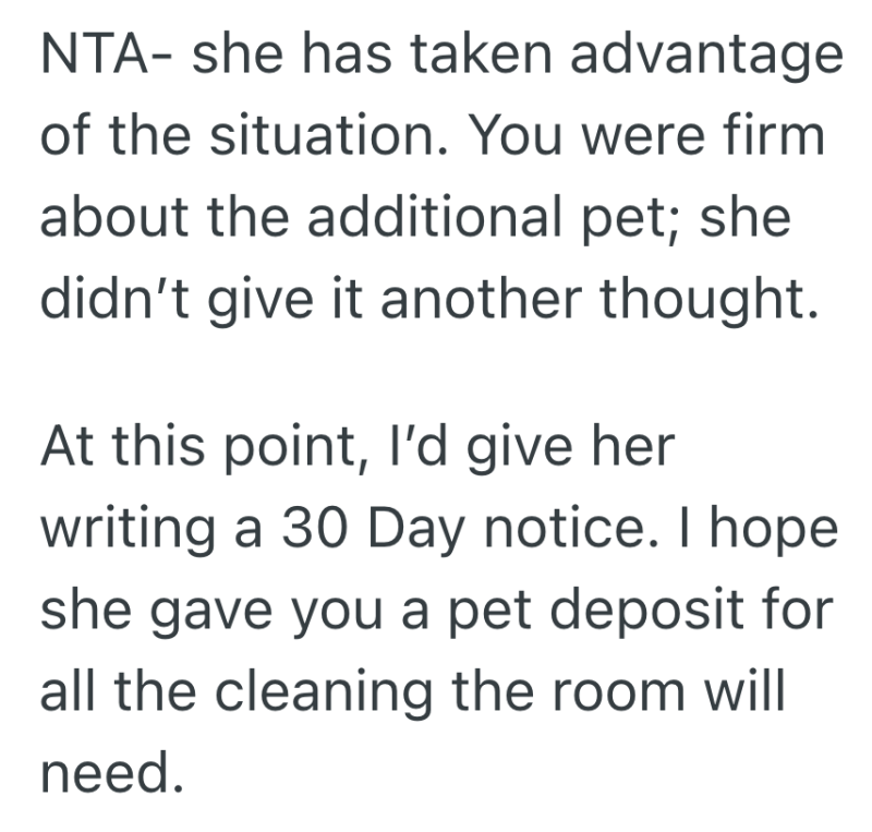 Screenshot 2025 05 06 at 9.22.44 AM e1746537935569 Roommate Lied About Her Cats Being Fixed, So Now Theres A Surprise Kitten And An Ultimatum