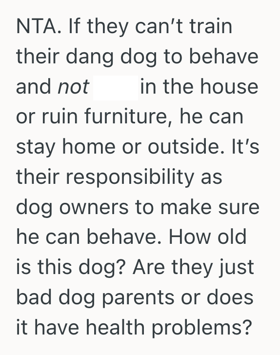 Screenshot 2025 05 10 at 5.07.48 PM Her In Laws Let Their Dog Do Whatever He Wanted, So She Finally Asked Them To Leave The Dog At Home When Visiting