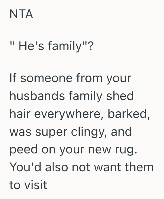 Screenshot 2025 05 10 at 5.08.50 PM Her In Laws Let Their Dog Do Whatever He Wanted, So She Finally Asked Them To Leave The Dog At Home When Visiting