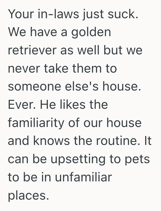 Screenshot 2025 05 10 at 5.10.39 PM Her In Laws Let Their Dog Do Whatever He Wanted, So She Finally Asked Them To Leave The Dog At Home When Visiting