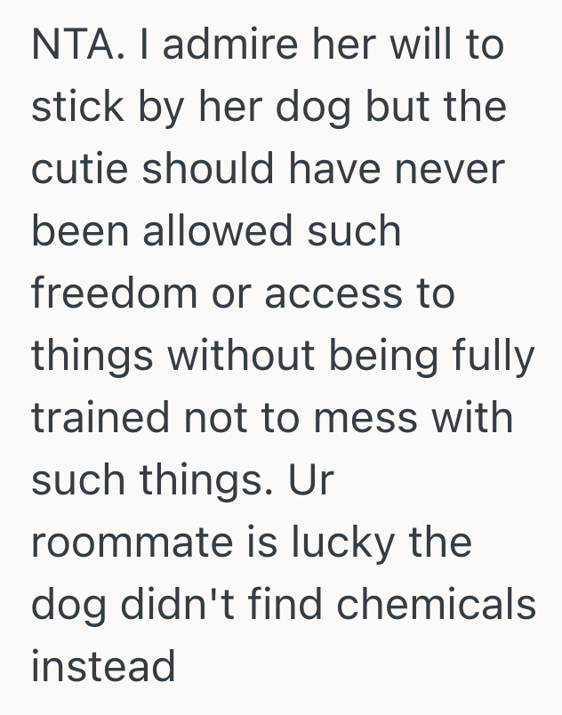 Screenshot 2025 05 27 at 5.04.14 PM Destructive Puppy Caused Multiple Problems, So The Dog Owners Roommate Reported Her To The RA At Her College Apartment