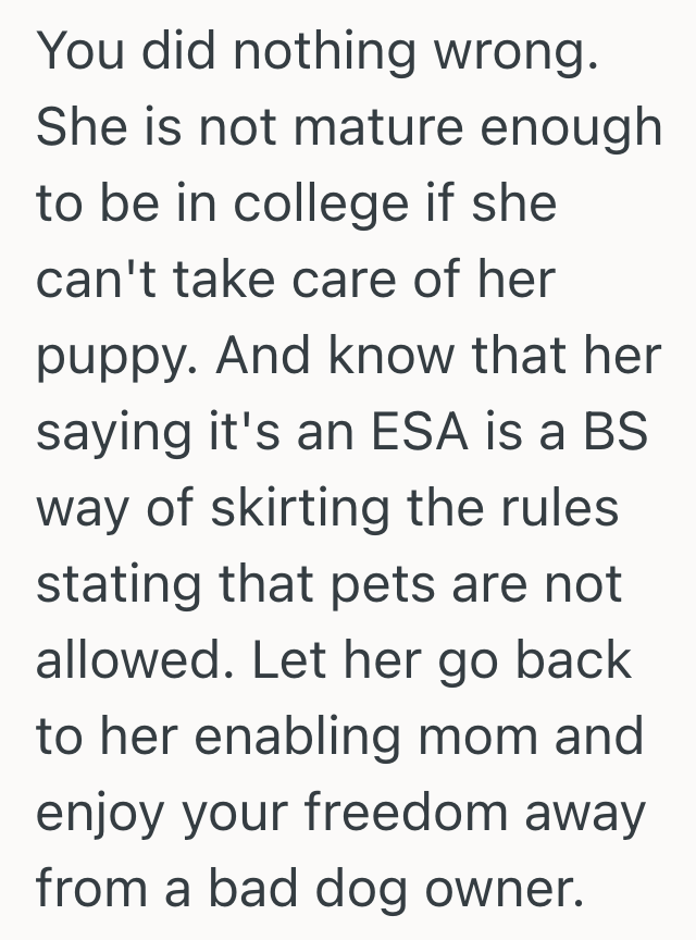 Screenshot 2025 05 27 at 5.04.37 PM Destructive Puppy Caused Multiple Problems, So The Dog Owners Roommate Reported Her To The RA At Her College Apartment
