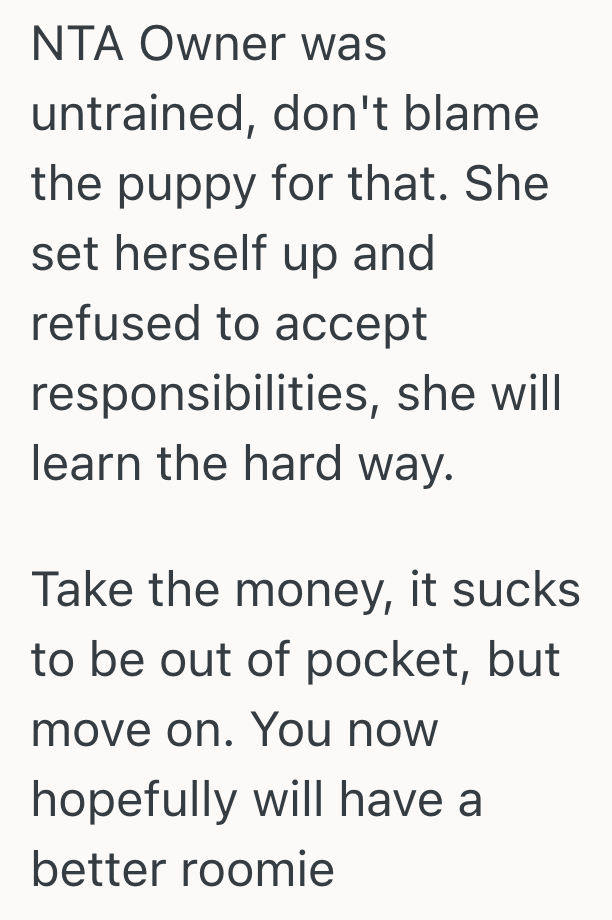 Screenshot 2025 05 27 at 5.04.56 PM 1 Destructive Puppy Caused Multiple Problems, So The Dog Owners Roommate Reported Her To The RA At Her College Apartment