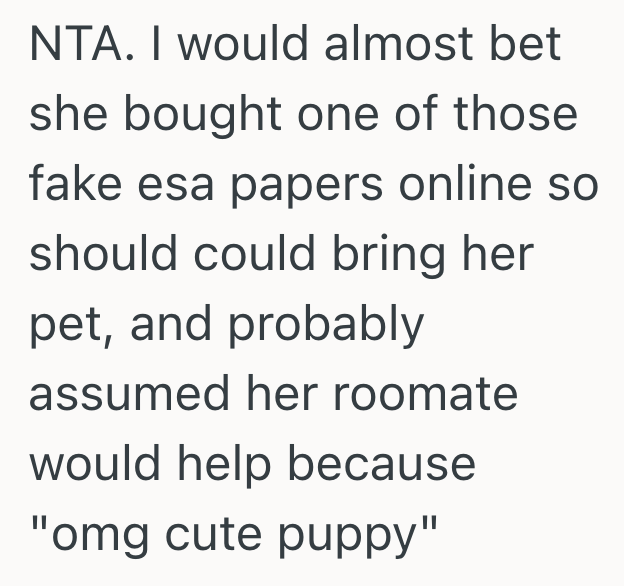 Screenshot 2025 05 27 at 5.05.28 PM Destructive Puppy Caused Multiple Problems, So The Dog Owners Roommate Reported Her To The RA At Her College Apartment