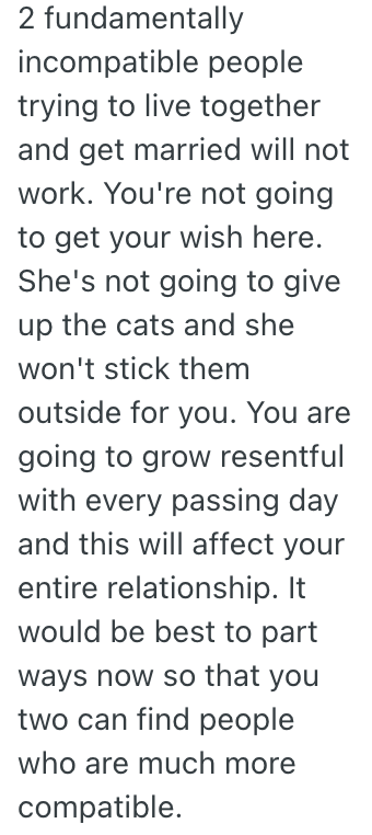 Screenshot 2025 05 30 at 1.00.51 PM His Girlfriend Wont Compromise About Her Cats Having The Full Run Of The House, So Hes Thinking About Ending Their Relationship