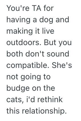 Screenshot 2025 05 30 at 1.01.31 PM His Girlfriend Wont Compromise About Her Cats Having The Full Run Of The House, So Hes Thinking About Ending Their Relationship