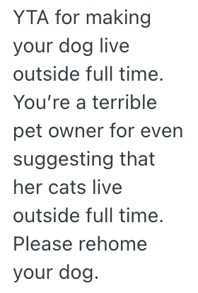 Screenshot 2025 05 30 at 1.01.38 PM His Girlfriend Wont Compromise About Her Cats Having The Full Run Of The House, So Hes Thinking About Ending Their Relationship