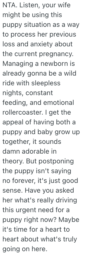 Screenshot 2025 05 30 at 1.07.40 PM His Pregnant Wife Wants To Get A Puppy, But He Thinks Theyll Be Too Busy And Would Rather Wait A Few Years