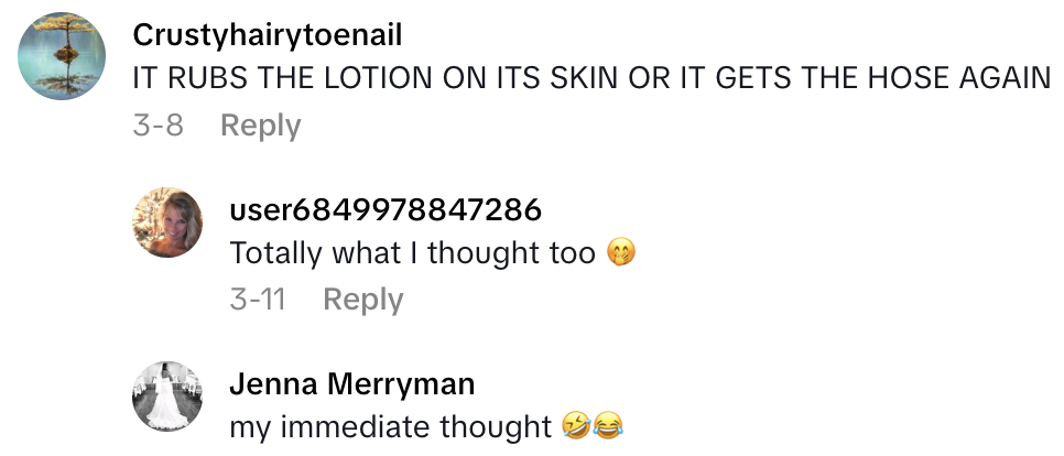 Screenshot 2025 05 31 at 5.23.29 PM A Homeowner Found A Hidden Room When They Pulled Up Carpet in Their House