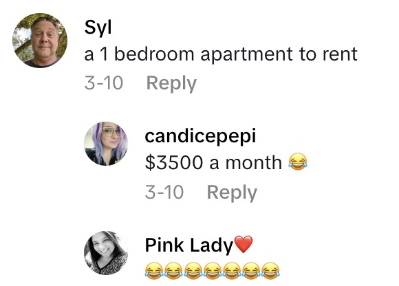 Screenshot 2025 05 31 at 5.23.41 PM A Homeowner Found A Hidden Room When They Pulled Up Carpet in Their House