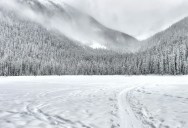 Computational Linguistic Analysis Proves Once And For All Whether The Inuit Languages Really Do Have Over Fifty Words For Snow