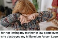 His Mom Didn’t Approve Of His LEGO Hobby, So She Destroyed It And Then Her Son Banned Her From The House