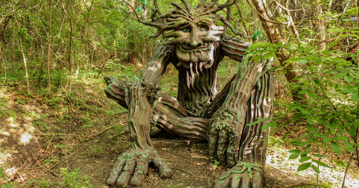 Tree that looks like animal