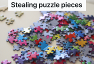 Her Ex And His Cat Are Both Moving Out, So She Decided To Make A Few Puzzle Pieces Disappear