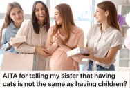 Two Sisters Attend A Friend’s Baby Shower, But One Of Them Doesn’t Have Kids And Keeps Talking About Her Cats
