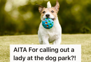 Dog Owner Throws A Ball For Her Pooch At The Park, But Then Another Doggo Shows Up And Steals The Toy
