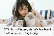 Her Brother-in-Law Asked Her To Get Rid Of Her Cats Because He’s Worried About His Baby Catching Germs, But She Responded That Babies Are Dirty Too