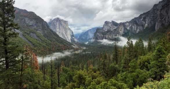 Mountains and trees at Yosemite National Park