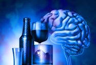 New Study Finds That Even Moderate Drinking More Than Doubles The Risk Of Brain Damage And An Early Demise