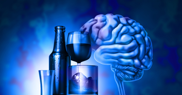 Brain with alcohol