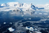 Researchers Were Able To Capture Two Never Before Filmed Sea Creatures In The Wild After An Iceberg Broke Away From Antarctica