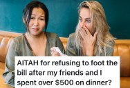 Teen Tries To Be Smart About Dinner Bill With Friends, But Ends Up The Villain Over A $500 Tab