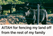 Land Heir Wanted To Protect Their Property From Surrounding Cattle, But When They Proposed Building A Fence, It Created Family Discord
