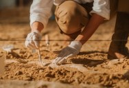 ‘None of her preserved anatomy looked like any other fossil.’ – Scientists Realize That A Fossil That’s Millions Of Years Old Was Fossilized From The Inside Out