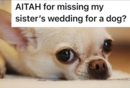 His Husband’s Elderly Chihuahua Got Sick Before A Family Wedding, So He Skipped The Ceremony To Go To The Vet Instead