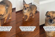 Her Small Dog Started Acting Like It Was Injured, But Apparently The Cure Was Asking If He Wanted To Go Outside