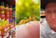 Home Improvement Expert Has A Solution That Works For Getting Rid Of Tough Cockroach Issues