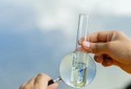 Microplastics Are In Every Part Of Our Bodies, But This Company Claims To Have A Solution