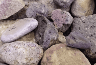 Massive Dye Factory Produced Most Of The Color Purple For Ancient People Over The Course Of 500 Years