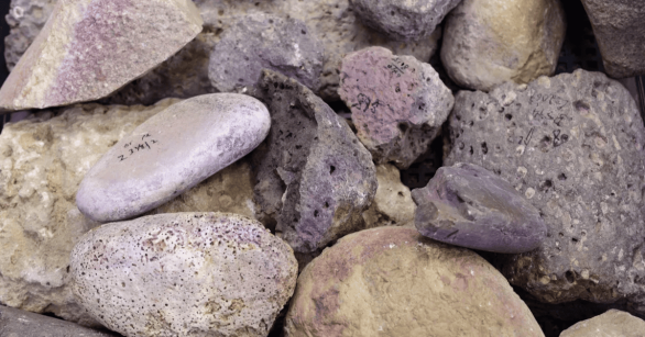 Dyed rocks found at Tel Shiqmona