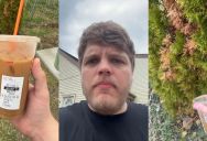 This Gardener Swears Your Plants Can Be Brought Back To Life With Some Espresso, But Is He Serious?