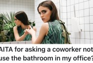 Their Coworker Keeps Using Their Private Bathroom, So They Told Her to Find Somewhere Else To Do Her Business