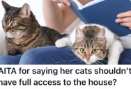 His Girlfriend Won’t Compromise About Her Cats Having The Full Run Of The House, So He’s Thinking About Ending Their Relationship