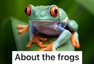 A Woman Gave Her A Hard Time For No Reason, So She Capitalized On The Woman’s Fear Of Frogs