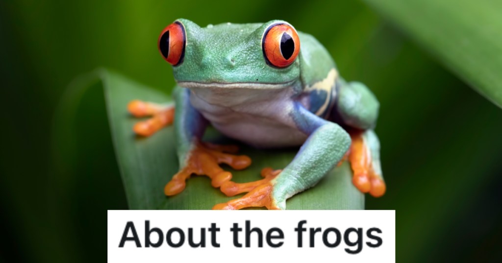 a frog on a branch