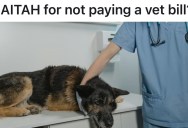 She Dropped A Single Grape And Her Friend’s Pooch Ate It, But Then Her Friend Sent Her An Unnecessary Vet Bill