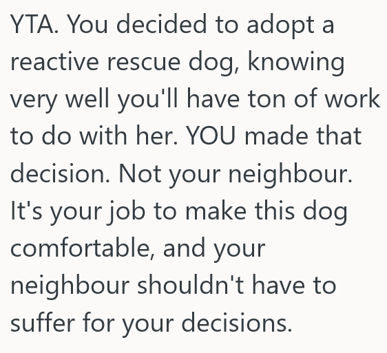 2025 06 20 20 25 46 Rescue Dog Is Afraid Of Everything, So The Dog Owner Would Like The Neighbors To Stick To A Schedule