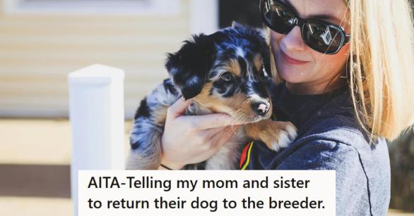 Blonde woman holding a blue merle Australian Shepherd puppy