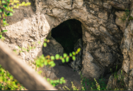 New Study Shows This Cave Was Home To Denisovans, Neanderthals, And Modern Humans
