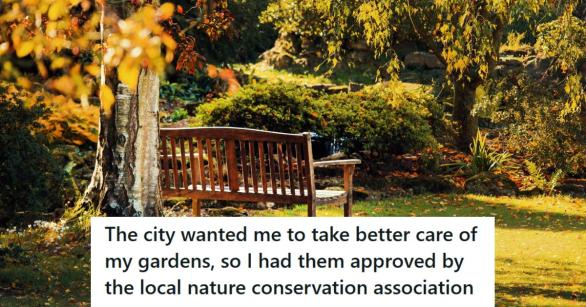 Park bench situated in the middle of a wild garden